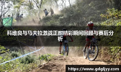 bsports官网